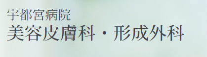宇都宮病院