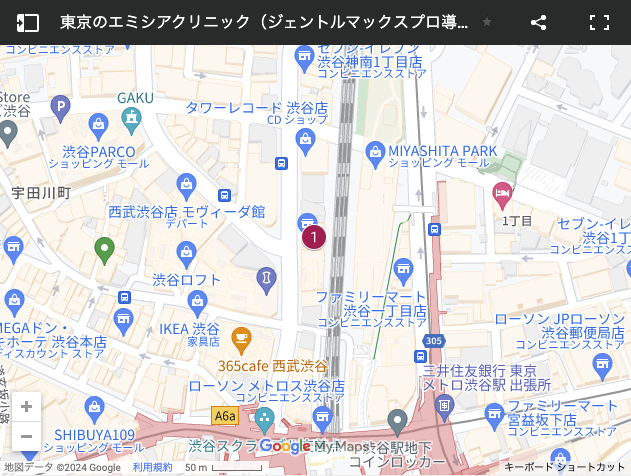 エミシアクリニック東京地図